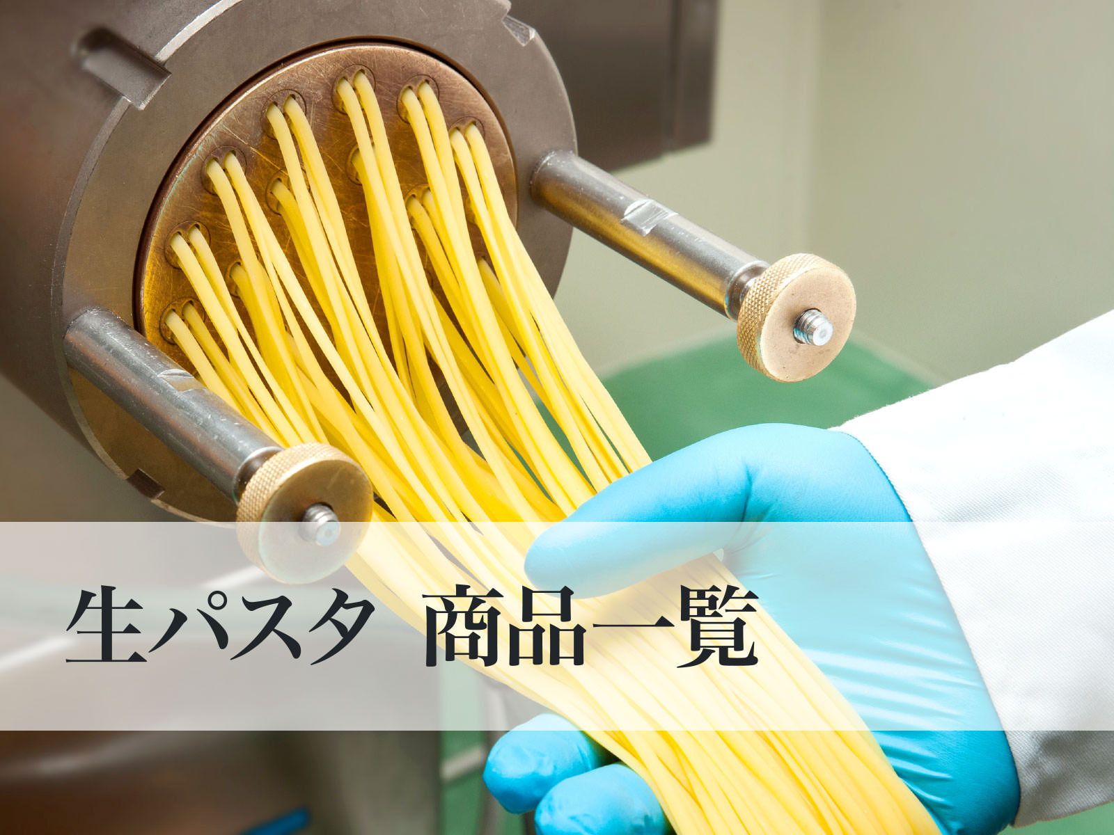 業務用 本格 生パスタ スパゲッティ リングイネ 商品一覧 業務用生麺50年 シクヤ製麺 業務用 本格 生パスタ スパゲッティ リングイネ 商品一覧 業務用生麺50年 シクヤ製麺